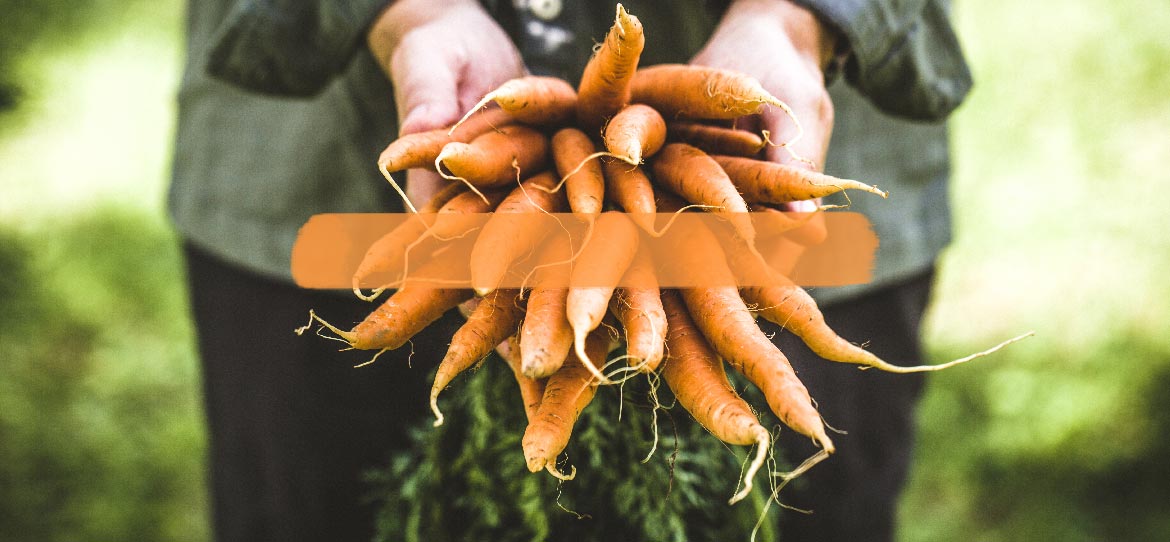 Du hast die Wahl – kauf lokal.