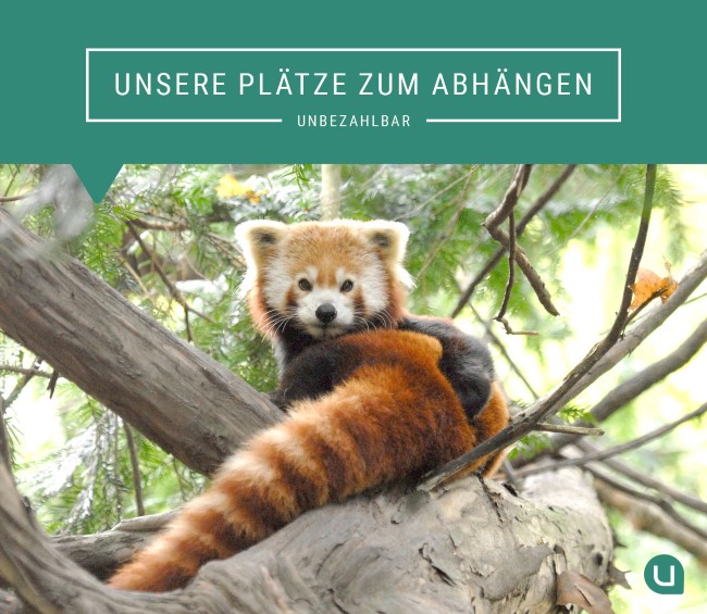 UNSERE PLÄTZE ZUM ABHÄNGEN – UNBEZAHLBAR, Foto: Naturschutz Tierpark Görlitz